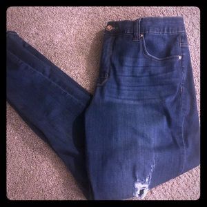 Mellisa McCarthy Seven Jeans